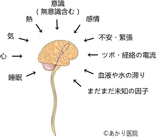 全身の治るシステム